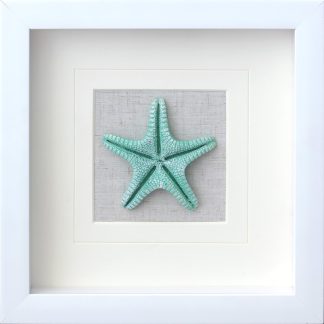 Green Resin Starfish Shadow Box Home Deco Wall Art 22 x 22 x 3cm